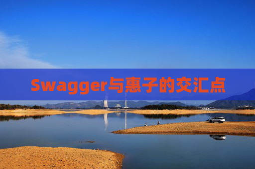 Swagger与惠子的交汇点